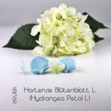 Hortensie Blütenblatt Veiner L